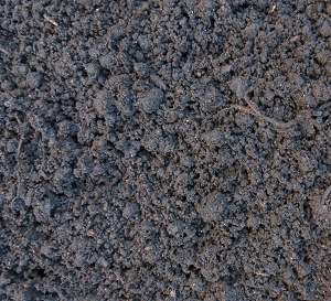 product image for peat moss